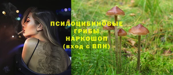 бошки Бугульма