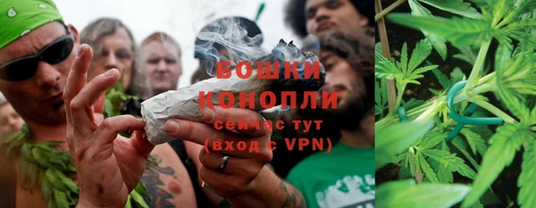 таблы Бородино