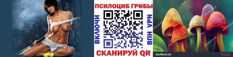 Галлюциногенные грибы GOLDEN TEACHER  наркота  Фёдоровский 